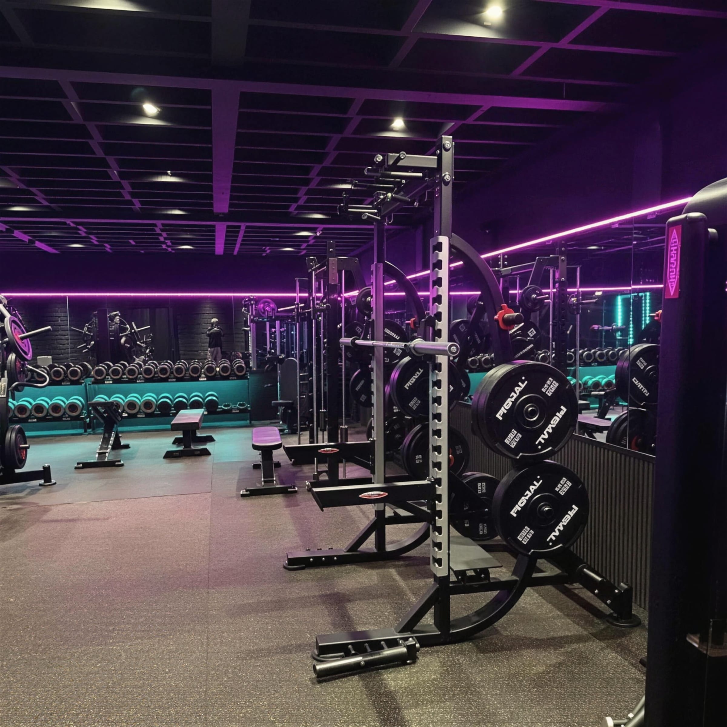 Free-weights zone glowing violet, squat rack and plates in the foreground under purple LED runs.