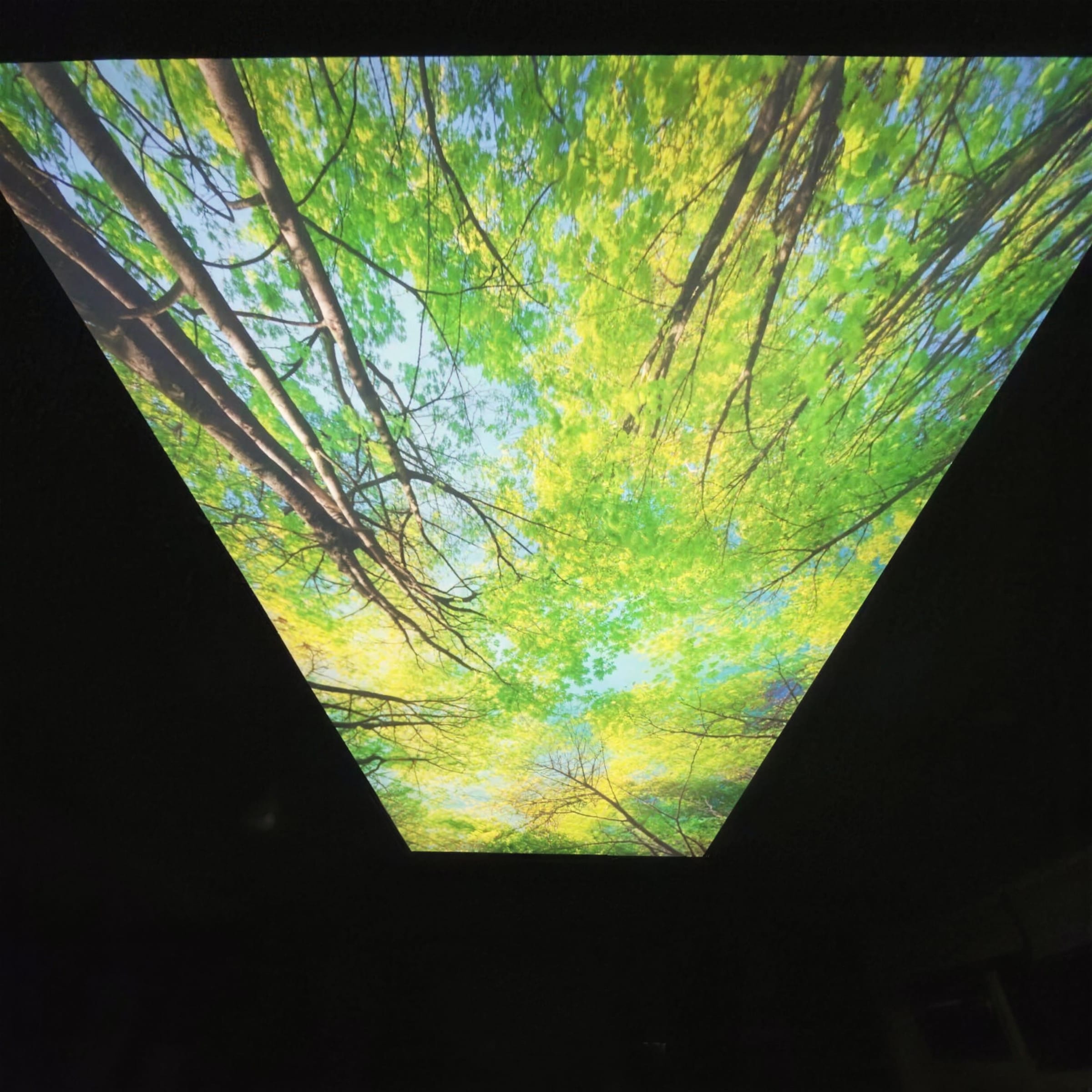 Glowing tree-canopy light panel seen from below as a bright trapezoid floating in a near-black room.